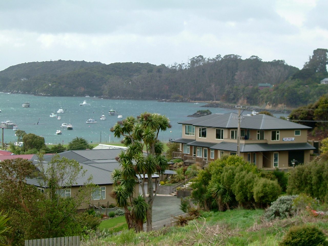 stewart island bus tour