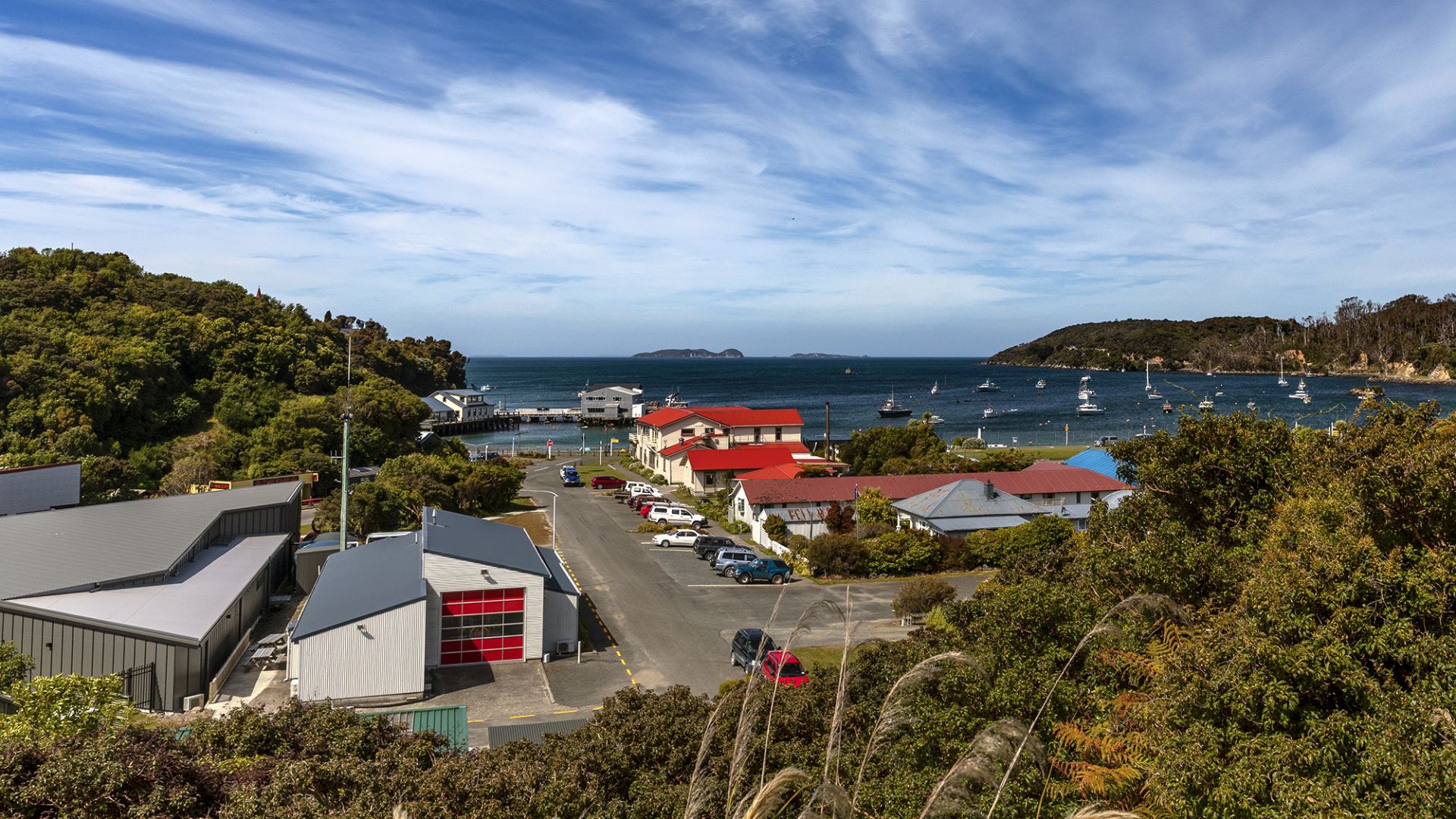 stewart island tours from invercargill