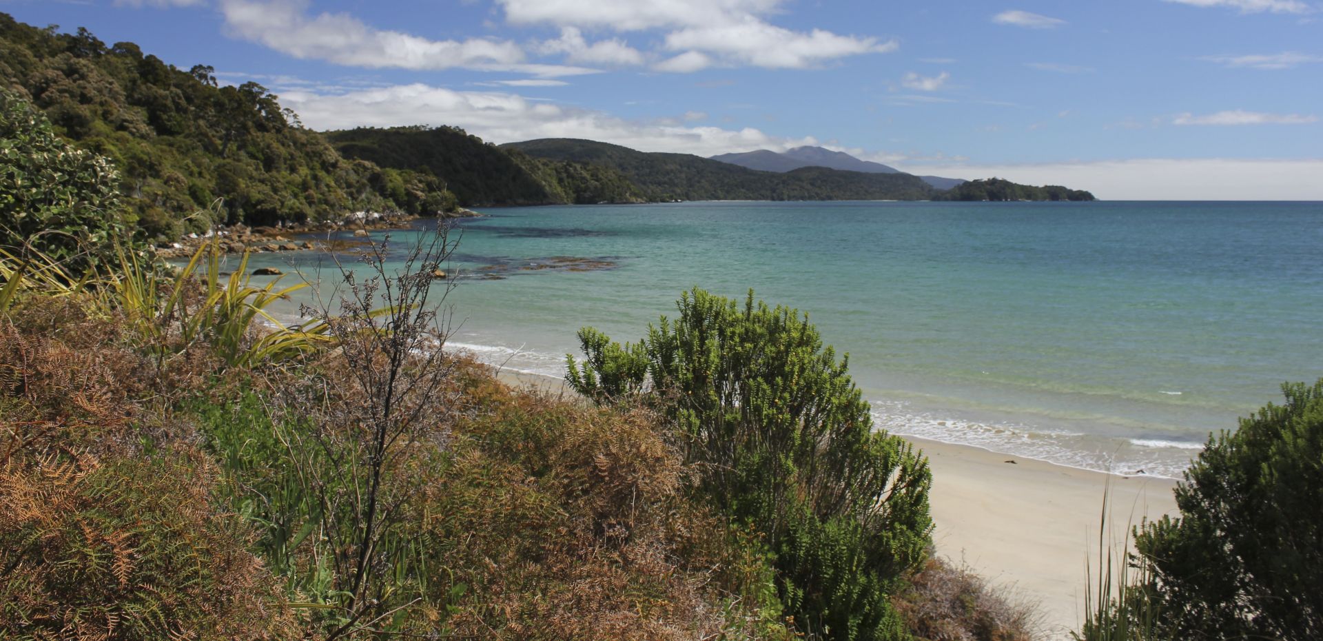 stewart island tours from invercargill