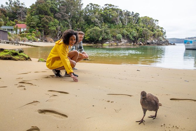 stewart island tours from invercargill