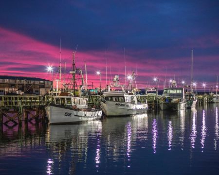 Inspired NZ Tours South Island Discovery including Stewart Island