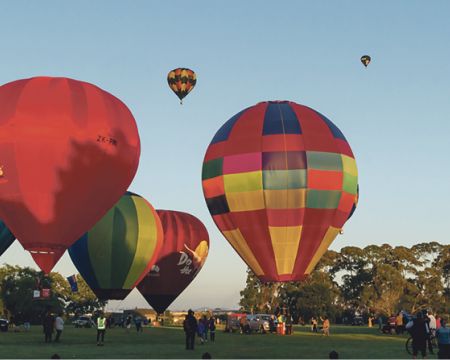 Balloons Over Waikato