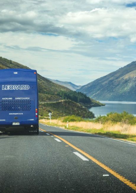 holiday tours of new zealand